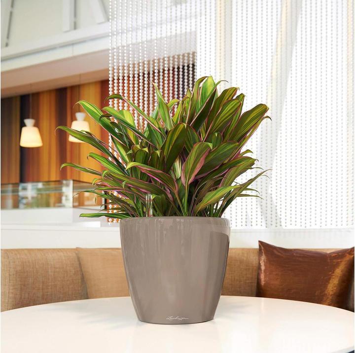 Image du produit Lechuza Classico (28.50 cm)