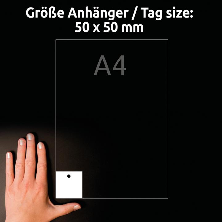 Actual product image Avery Purpose label, cardboard, 220 gsm, 50 x 50 mm, white satin finish, absolutely smooth edges