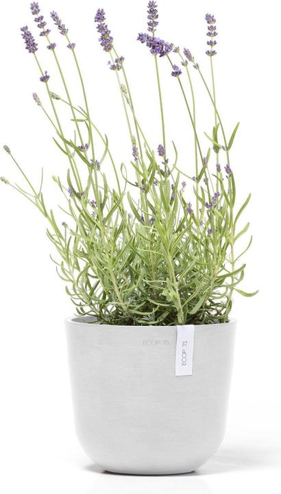 Produktbild Ecopots Oslo Mini (19 cm)