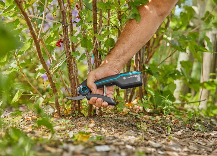 Actual product image Gardena AssistCut