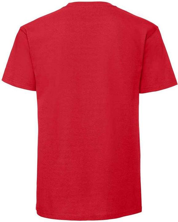 Actual product image Fruit of the Loom Mens Ringspun Premium T-Shirt (3XL)