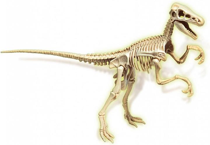 Immagine prodotto Clementoni Set di scavi Velociraptor