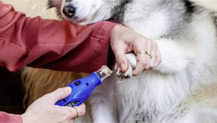 Productafbeelding Dremel Tierkrallenpflege