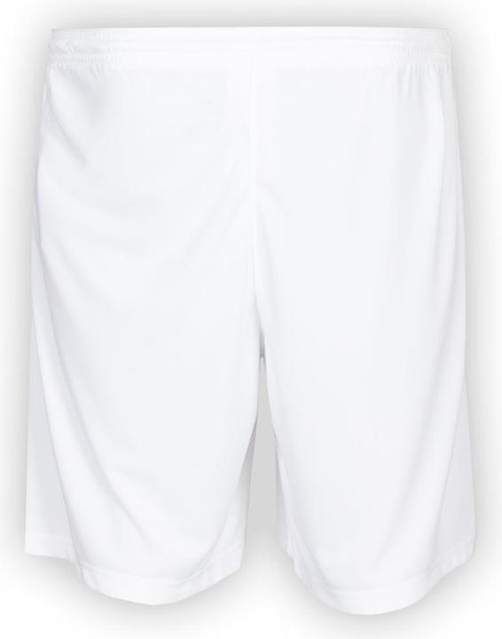 Actual product image Nike Park Iii Short (XXL)