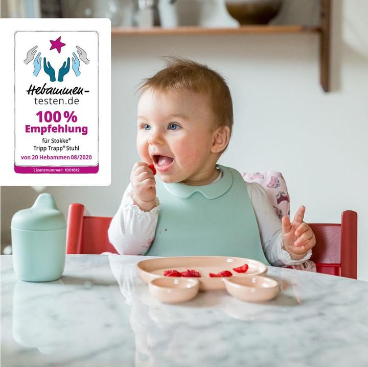 Immagine prodotto Stokke Seggiolone Tripp Trapp incl. set per neonati (Seggiolone)