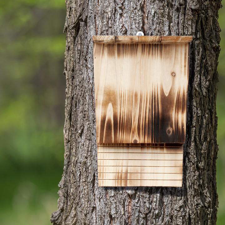 Immagine prodotto Relaxdays Scatola per pipistrelli
