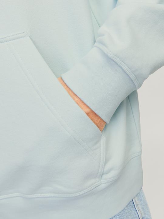 Produktbild Jack & Jones Jorlafayette Branding Sweat Hood (S)
