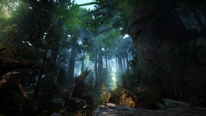 Immagine prodotto Pearl Abyss Black Desert: Edizione di prestigio (PS4, DE)