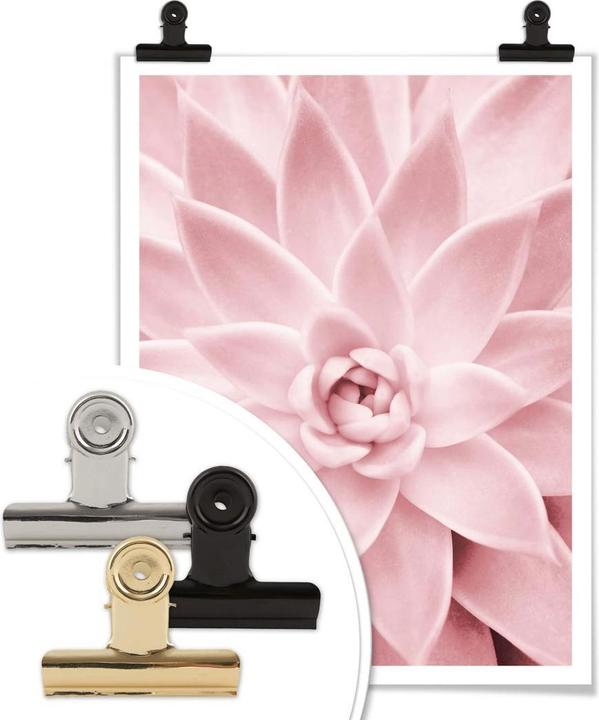 Image du produit Trenddeko Succulente rose (30 x 40 cm)