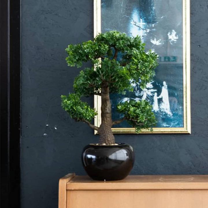 Actual product image Emerald Allan (47 cm)