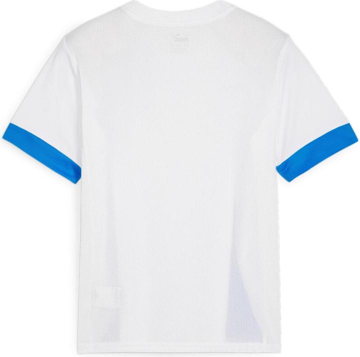 Actual product image Puma teamGOAL Matchday Jersey jr (128)