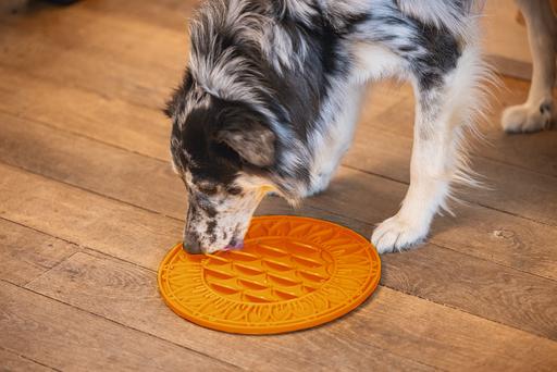 Actual product image Beeztees Sunflower lick mat