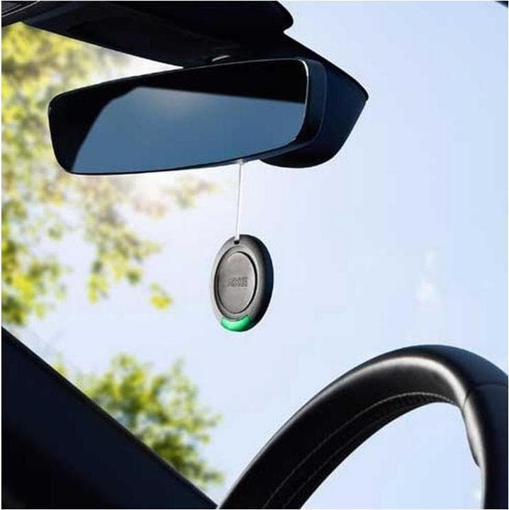 Actual product image AXE Car Air Freshener