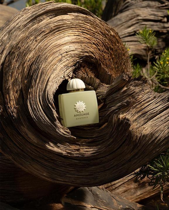 Immagine prodotto Amouage Odyssey Existence Eau de Parfum (Eau de parfum, 100 ml)