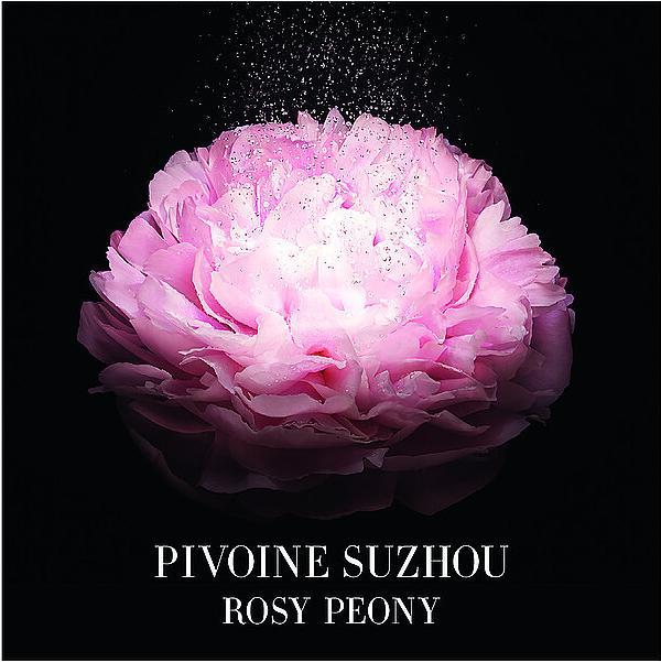 Actual product image Giorgio Armani Pivoine Suzhou (Eau de toilette, 100 ml)