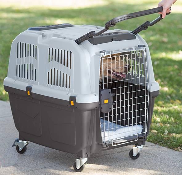 Actual product image Skudo 7 Iata (Dog, Safety closure)