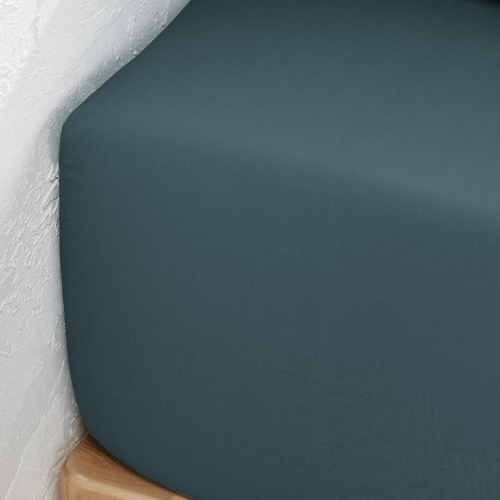 Actual product image La Redoute Interieurs Percale Bio (180 x 200 cm)