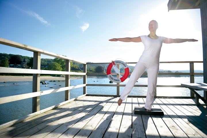 Actual product image Sissel Balancefit Pad