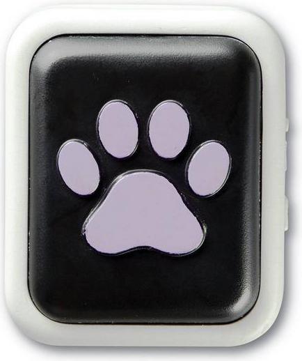 Actual product image Hunger for Words Talking Pet (Dog activity toy)