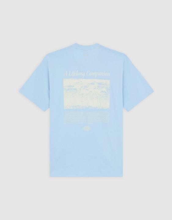 Produktbild Dickies Companion Script Ss Tee Skyway (L)