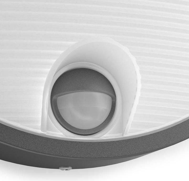 Immagine prodotto Philips Capricorno IR (600 lm)