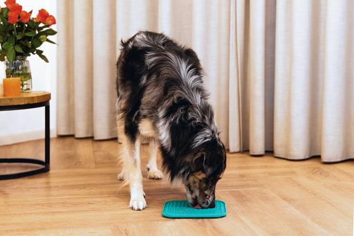 Image du produit Beeztees Tapis à lécher Gourmet (Sac à friandises pour chien)