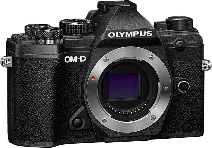 Olympus OM-D E-M5 Mark III (20.40 Mpx, Micro Four Thirds)