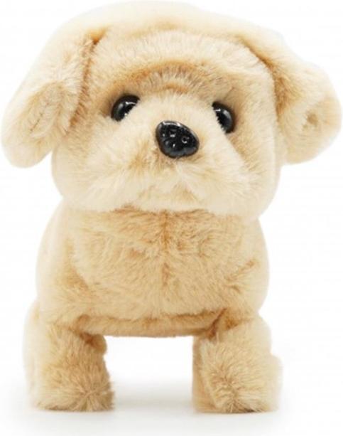 Produktbild Pugs at play Toy Walki Dog Goldie Pap05 (67.50 cm)