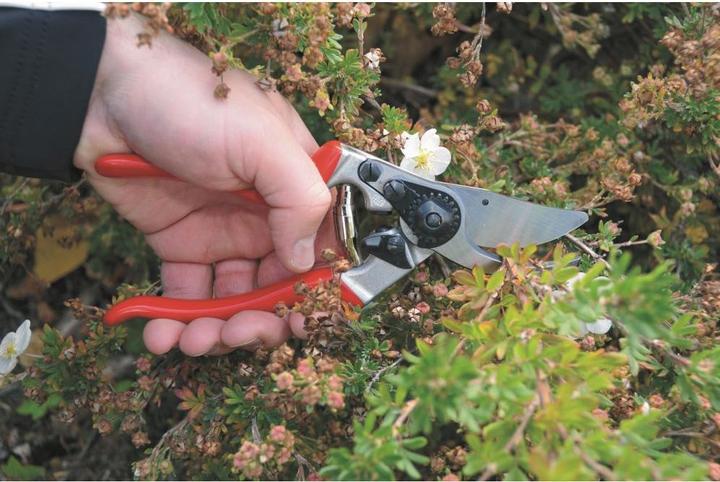 Actual product image Felco 9
