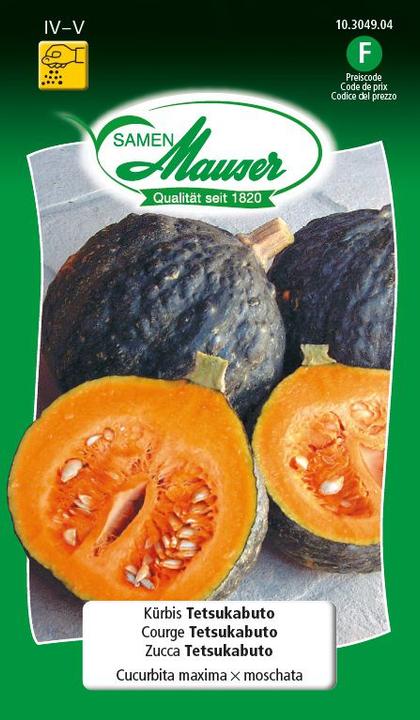 Courge Tetsukabuto (Graines de légumes)