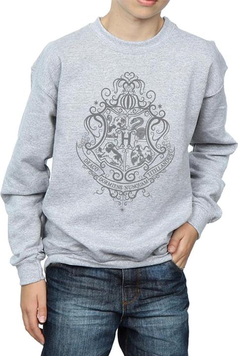 Immagine prodotto Hogwarts Draco Dormiens Crest Felpa Ragazzi (116)