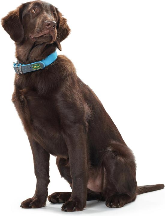 Actual product image Hunter Collar Convenience Biothane (S, M, Dog, General)