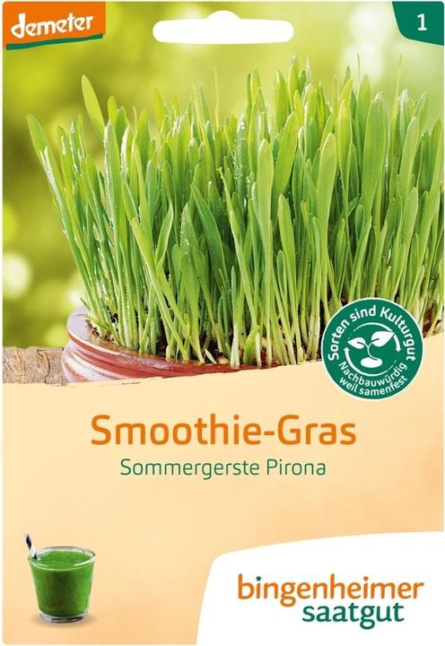 Actual product image Bingenheimer Saatgut Smoothie Gras Sommergerste (Bulbous plant)