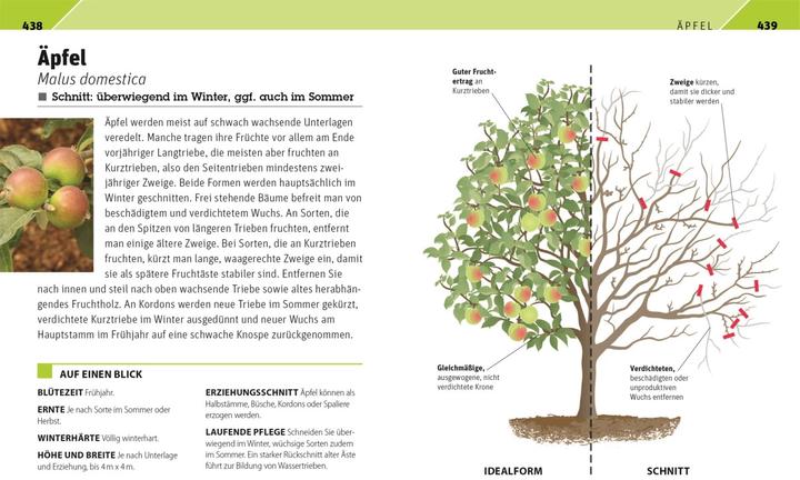 Actual product image Gartenwissen Pflanzenschnitt (German, Andrew Mikolajski, 2021)
