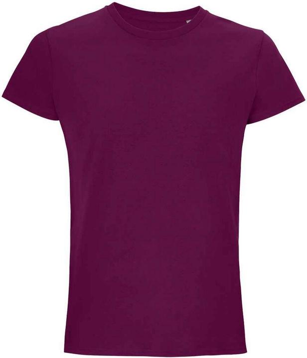 Étoile violette