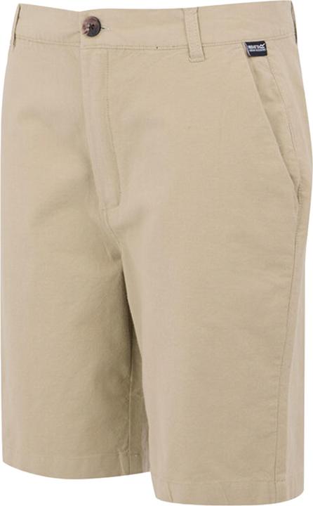 Actual product image Regatta Mens Sabastal Shorts (42)