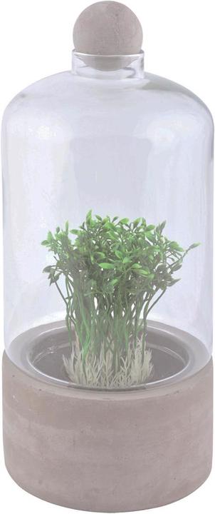 Produktbild Esschert Design Anzuchtflasche Betonschale