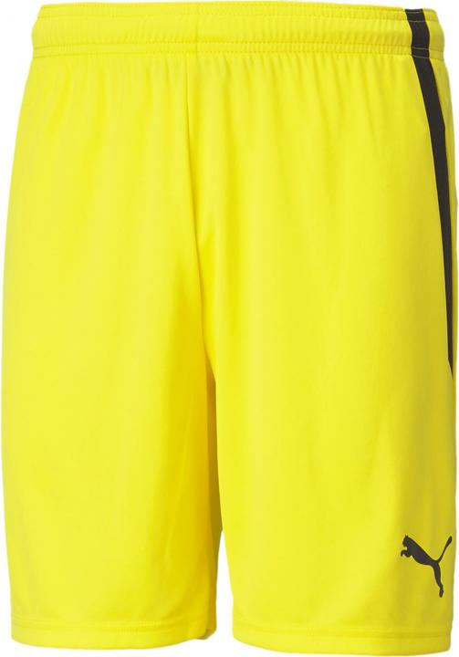Actual product image Puma teamLIGA Shorts-704924 (L)