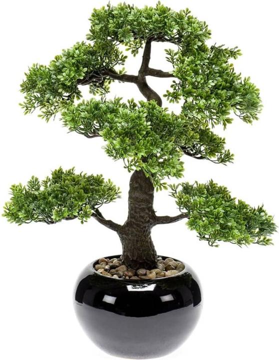 Actual product image Emerald Allan (47 cm)
