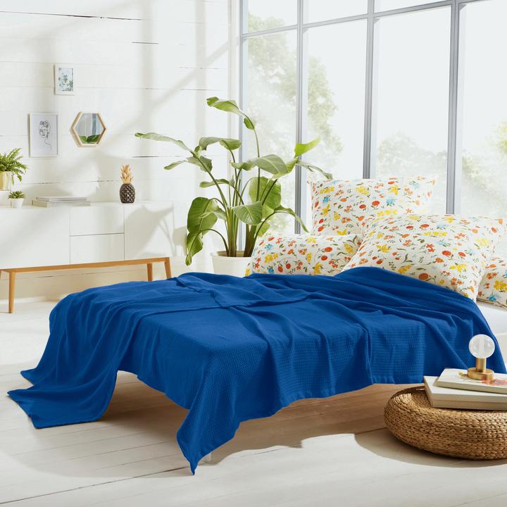 Image du produit Erwin Müller Couverture d'été (220 x 240 cm)