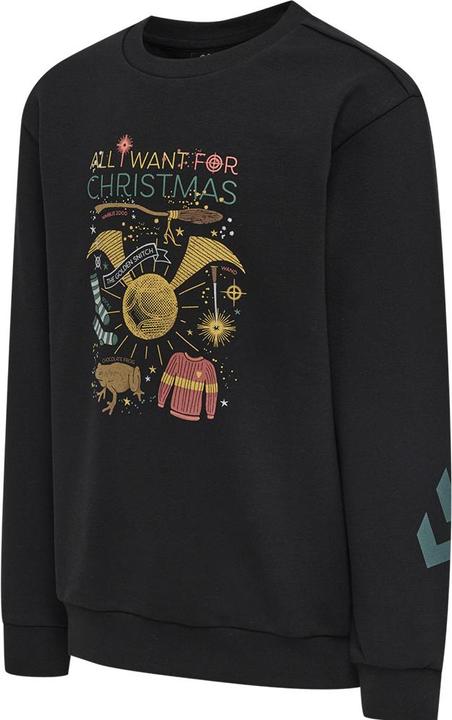 Produktbild hummel Hmlharry Potter Dos Sweatshirt (146)