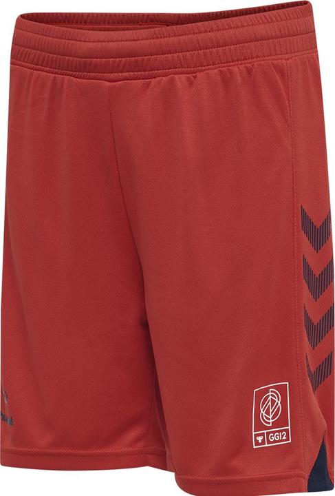 Actual product image hummel Gg12 Action Shorts Kids (164)