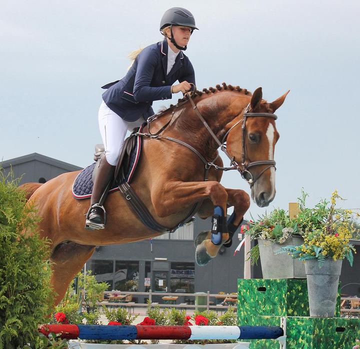 Immagine prodotto Qhp Giacca da torneo Coco Adulto (42)