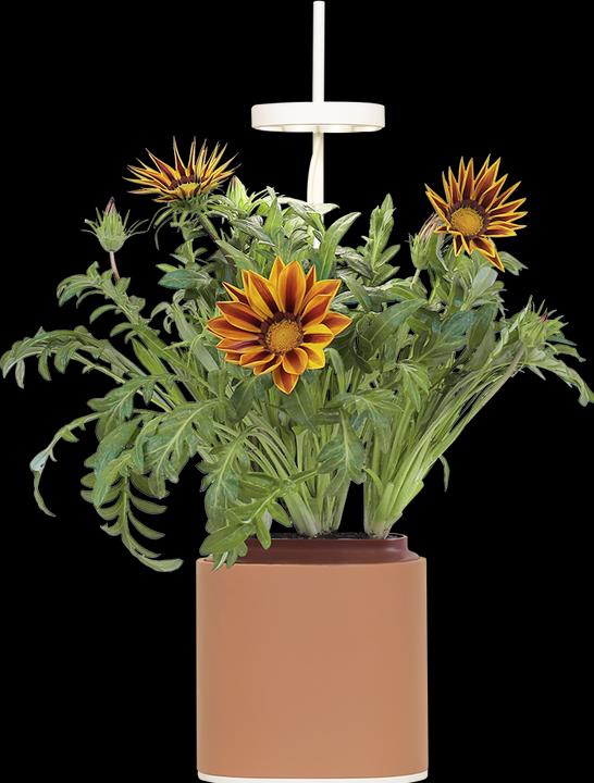 Produktbild Prêt à Pousser Kräutertopf Nano, Terracota (13.50 cm)