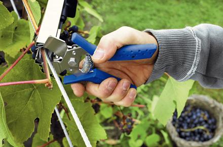 Actual product image Rapid LIG150 Tying pliers (158 mm)