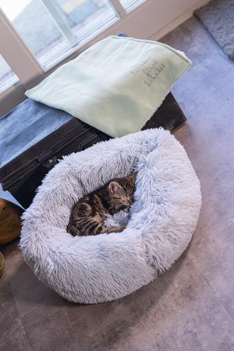 Immagine prodotto Beeztees Vuoto (Gatto)