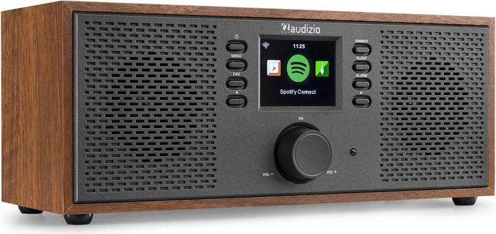Immagine prodotto Audizio Internet Radio Rimini aspetto legno (Web radio, Bluetooth)