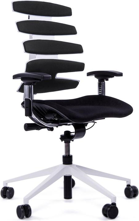 Produktbild Sitag SitagWAVE mit weissem Drehkreuz