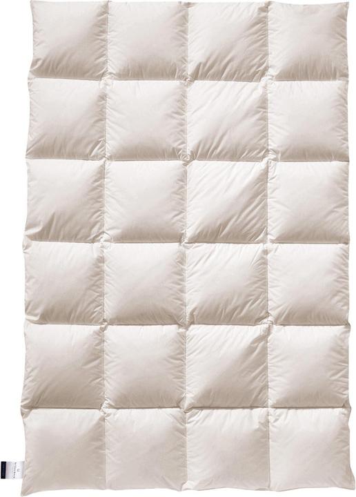 Produktbild Billerbeck Daunendecke E23 Inga Kassette II warm, Füllung: 90% Daunen, 10% Federn (900 g, 155 x 220 cm)