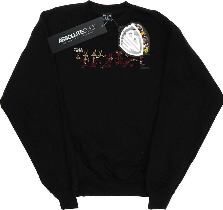 Produktbild Looney Tunes Wile E Coyote Colour Code Sweatshirt (L)